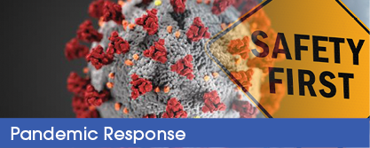 Pandemic Response image