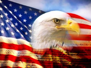 American Flag-Eagle